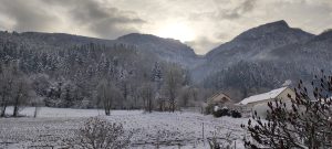 IMG_20251123_102539_1763889953460