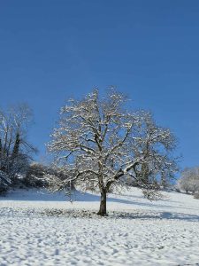 Messenger_creation_73DFCDCD-4419-472B-90A7-04A9688A546B