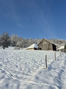 Messenger_creation_B818D7B2-ABE9-41D5-BF0B-7AEEC60D8961