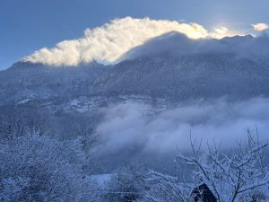 FB_IMG_1768508409835