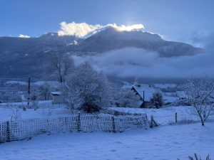 FB_IMG_1768508429435