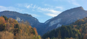 image-5